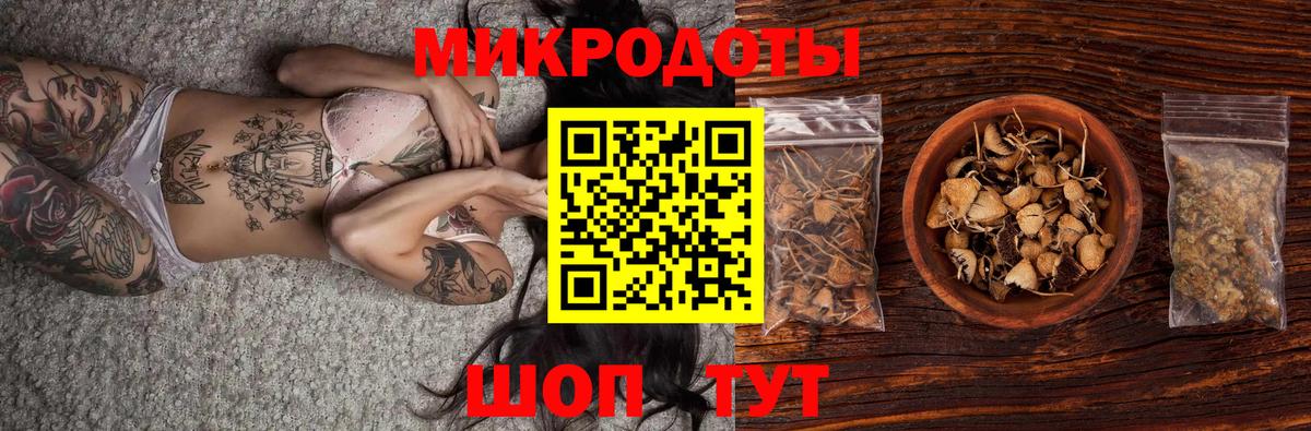Мегион  Псилоцибиновые грибы Psilocybe  Вход с VPN 